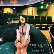 ヒメ日記 2025/11/24 20:53 投稿 糸井(いとい) 人妻出逢い会 百合の園 池袋店