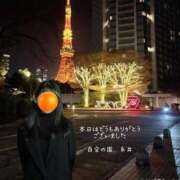 ヒメ日記 2025/11/26 01:23 投稿 糸井(いとい) 人妻出逢い会 百合の園 池袋店