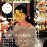 ヒメ日記 2025/12/11 15:53 投稿 糸井(いとい) 人妻出逢い会 百合の園 池袋店