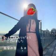 ヒメ日記 2025/12/17 00:33 投稿 糸井(いとい) 人妻出逢い会 百合の園 池袋店