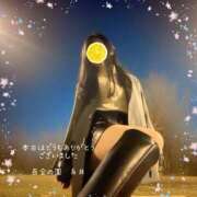 ヒメ日記 2025/12/18 23:43 投稿 糸井(いとい) 人妻出逢い会 百合の園 池袋店