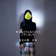 ヒメ日記 2026/01/16 00:13 投稿 糸井(いとい) 人妻出逢い会 百合の園 池袋店