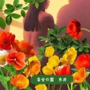 ヒメ日記 2026/01/22 15:43 投稿 糸井(いとい) 人妻出逢い会 百合の園 池袋店