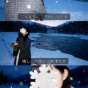 ヒメ日記 2026/02/07 10:13 投稿 糸井(いとい) 人妻出逢い会 百合の園 池袋店