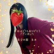 ヒメ日記 2026/02/19 00:13 投稿 糸井(いとい) 人妻出逢い会 百合の園 池袋店