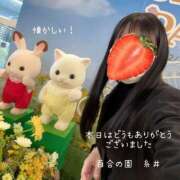 ヒメ日記 2026/03/09 22:33 投稿 糸井(いとい) 人妻出逢い会 百合の園 池袋店