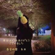 ヒメ日記 2026/05/12 00:13 投稿 糸井(いとい) 人妻出逢い会 百合の園 池袋店