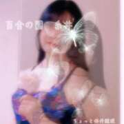 ヒメ日記 2026/05/21 12:53 投稿 糸井(いとい) 人妻出逢い会 百合の園 池袋店