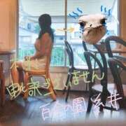 ヒメ日記 2026/07/17 16:43 投稿 糸井(いとい) 人妻出逢い会 百合の園 池袋店