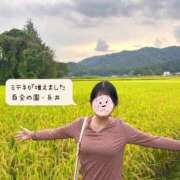 ヒメ日記 2026/09/26 18:43 投稿 糸井(いとい) 人妻出逢い会 百合の園 池袋店