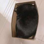 ヒメ日記 2025/09/29 01:42 投稿 大谷 めぐみ 白夜