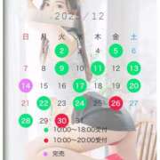 ヒメ日記 2025/11/12 17:00 投稿 大谷 めぐみ 白夜