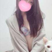 ヒメ日記 2025/11/13 12:03 投稿 大谷 めぐみ 白夜