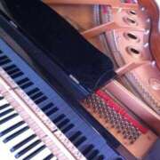 ヒメ日記 2025/11/25 20:27 投稿 大谷 めぐみ 白夜