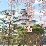 大谷 めぐみ 福島旅行 白夜