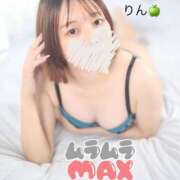 ヒメ日記 2024/12/15 07:33 投稿 リン ツートップ