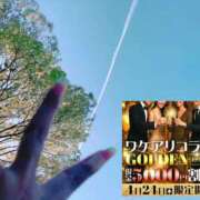 ヒメ日記 2025/04/23 19:31 投稿 夢原【ゆめはら】 丸妻 西船橋店