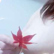 ヒメ日記 2024/12/16 18:08 投稿 宝井涼 こあくまな熟女たち 金沢店(KOAKUMAグループ)