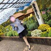 小泉ともか わぁ〜！ありがとう〜！ 五十路マダム 新潟店(カサブランカグループ)