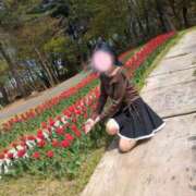 ヒメ日記 2026/04/13 19:48 投稿 小泉ともか 五十路マダム 新潟店(カサブランカグループ)