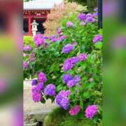 つばさ 出勤🩷 完熟ばなな 谷九店