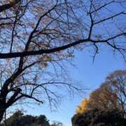 ヒメ日記 2024/12/07 12:12 投稿 りせ 錦糸町人妻セレブリティ（ユメオト）