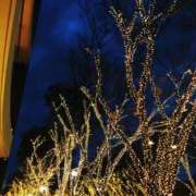 ヒメ日記 2024/12/26 20:40 投稿 りせ 錦糸町人妻セレブリティ（ユメオト）