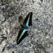 りせ オナ禁なんてしてられっか 錦糸町人妻セレブリティ（ユメオト）