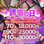 シホ　【純度100％の癒し系】 イベント!!&そして…… ドMなバニーちゃん和歌山店