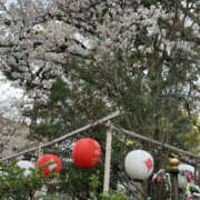 ヒメ日記 2025/05/03 09:27 投稿 まい クンニ専門店 おクンニ学園 池袋校