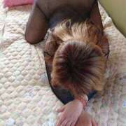 ヒメ日記 2025/09/17 05:37 投稿 神崎いつみ 五十路マダム 博多店