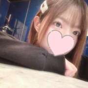 ヒメ日記 2024/12/31 08:09 投稿 らら先生 アロー