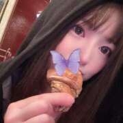 ヒメ日記 2025/01/18 06:30 投稿 らら先生 アロー