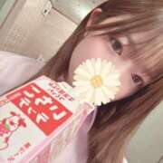 ヒメ日記 2025/02/01 12:42 投稿 らら先生 アロー