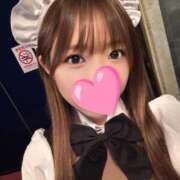 ヒメ日記 2025/02/15 02:26 投稿 らら先生 アロー