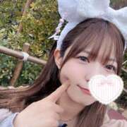 ヒメ日記 2025/02/16 22:21 投稿 らら先生 アロー