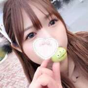 ヒメ日記 2025/02/28 19:42 投稿 らら先生 アロー