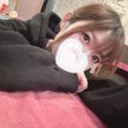 ヒメ日記 2025/03/01 00:13 投稿 らら先生 アロー