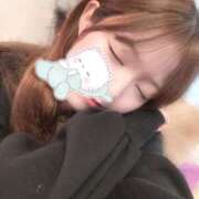 ヒメ日記 2025/03/05 10:21 投稿 らら先生 アロー