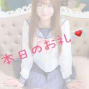 ヒメ日記 2025/04/25 19:09 投稿 らら先生 アロー