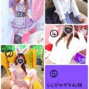 ヒメ日記 2025/04/26 12:02 投稿 らら先生 アロー