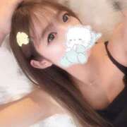 ヒメ日記 2025/05/21 12:05 投稿 らら先生 アロー