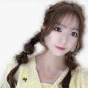 ヒメ日記 2025/06/04 00:11 投稿 らら先生 アロー