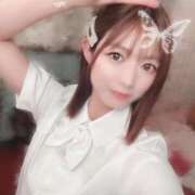 ヒメ日記 2025/06/19 22:44 投稿 らら先生 アロー