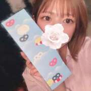 ヒメ日記 2025/07/13 22:33 投稿 らら先生 アロー