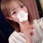 ヒメ日記 2025/08/02 21:57 投稿 らら先生 アロー