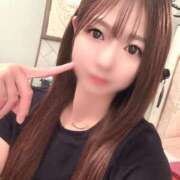 ヒメ日記 2025/09/05 10:24 投稿 らら先生 アロー