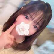 ヒメ日記 2025/12/19 11:34 投稿 らら先生 アロー