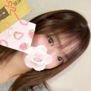 ヒメ日記 2025/12/30 08:30 投稿 らら先生 アロー