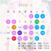 ヒメ日記 2026/01/06 02:47 投稿 らら先生 アロー